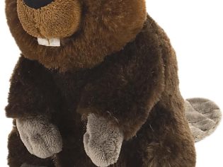 Beaver Plush, Stuffed Animal, Plush Toy, Gifts for Kids,  8 Inches,Multi