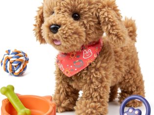 Toy puppy